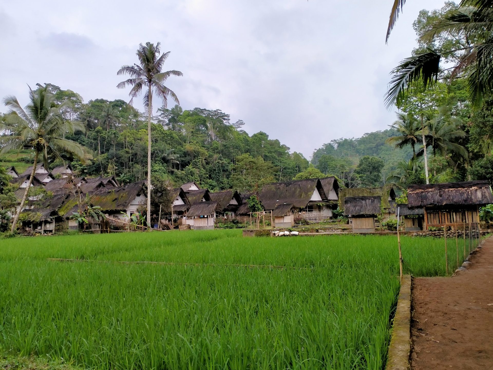 Kampung-Kampung Tradisional di Indonesia yang Menawarkan Pengalaman
