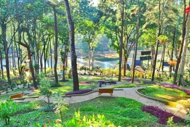 Menemukan Kedamaian di Wana Wisata Alam Kandung