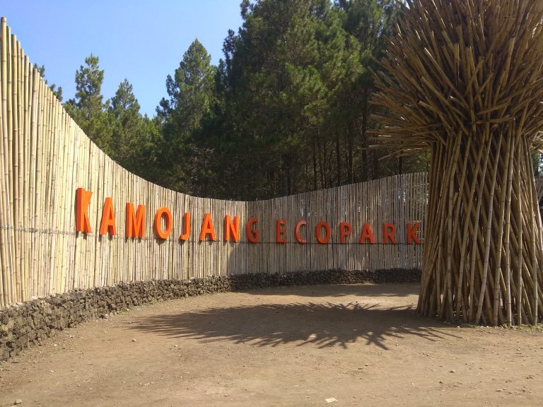 Kamojang Ecopark, Melepas Penat Di Tengah Hutan Pinus Yang Tenang