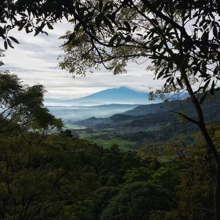 Bukit Munara, Spot Berkemah dan Pendakian Yang Cocok Bagi Pemula