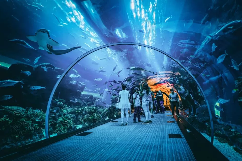 Menikmati Pesona Lautan di Wisata Aquarium Indonesia