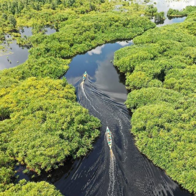 Lower river. Река Амазонка в Бразилии. Долина Джавари Бразилия. Амазонская Сельва Бразилии. Исток реки Амазонка.