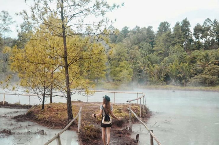 Hutan Pinus Lahendong_2b