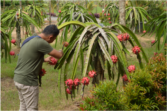 Keindahan Alam dan Rekreasi Terbesar di Amanah Borneo Park Kalimantan ...