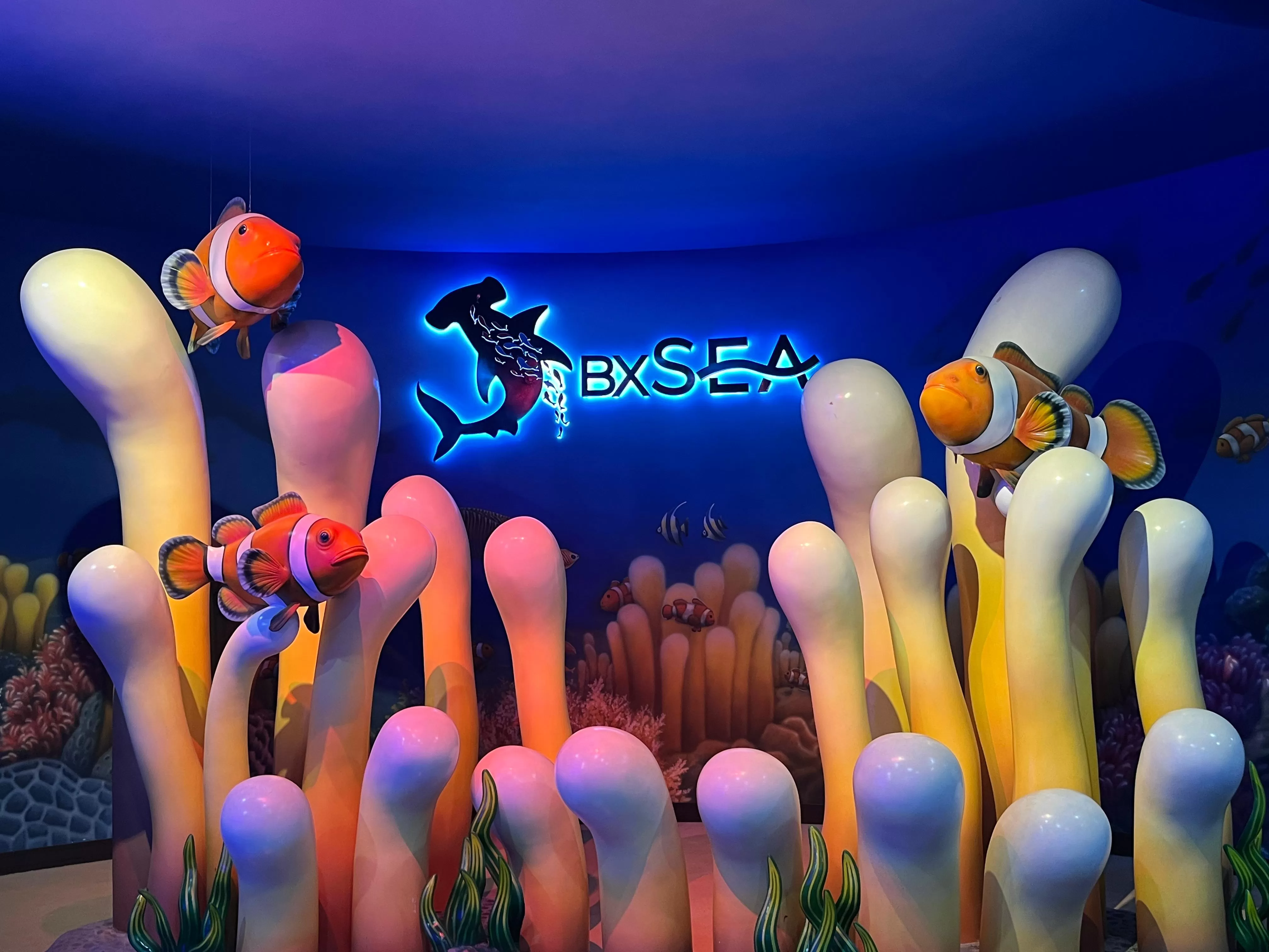 Menyelam dalam Keajaiban Laut di Aquarium BXSea: Petualangan Luar Biasa yang Mengagumkan