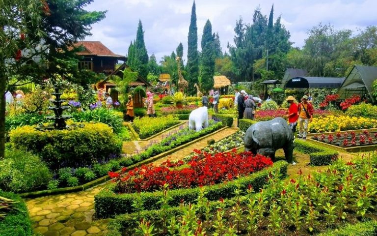 Menemukan Pesona Alam dan Kebun Bunga yang Mengagumkan di Taman Begonia Lembang