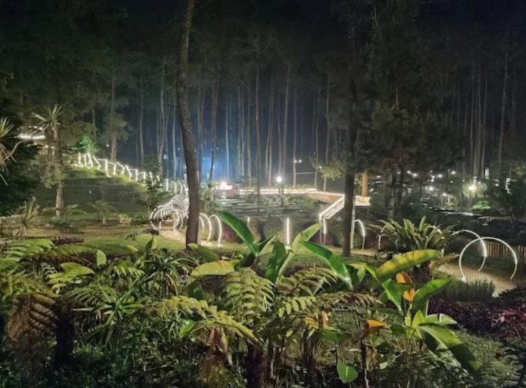 Jelajahi Keindahan Alam di Kebon Pines Cikole, Destinasi Terbaik Wisata Alam di Lembang!