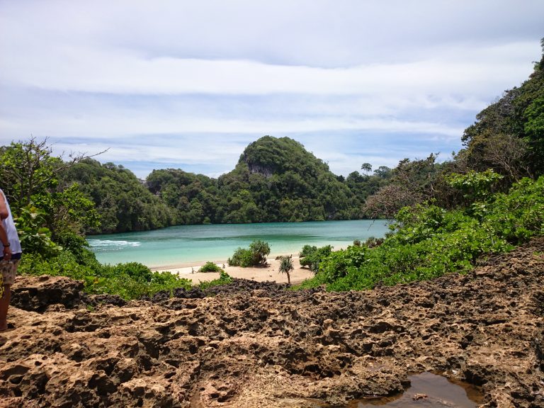 Pulau Sempu, Malang: Petualangan Hutan dan Laguna Biru di Jawa Timur